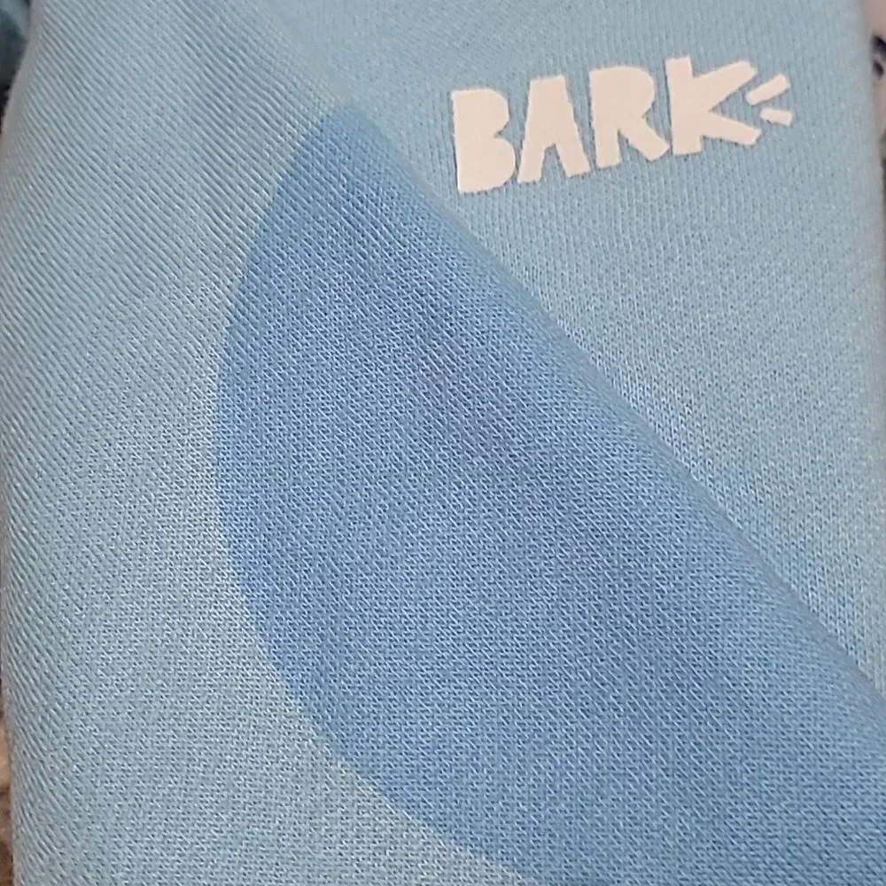 Blues Clues Dog sweatshirt and headband